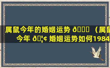 属鼠今年的婚姻运势 💐 （属鼠今年 🦢 婚姻运势如何1984年）